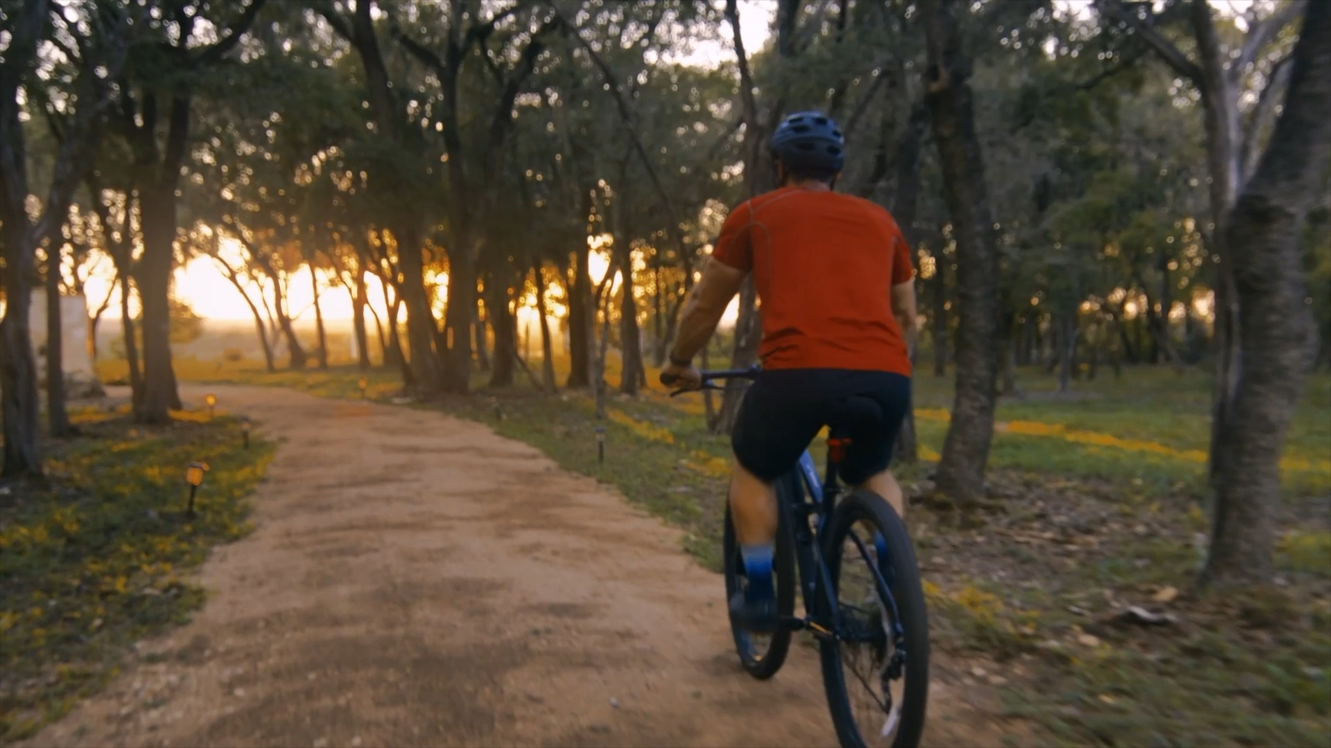 A cyclist riding a dirt trail through oak trees at golden hour